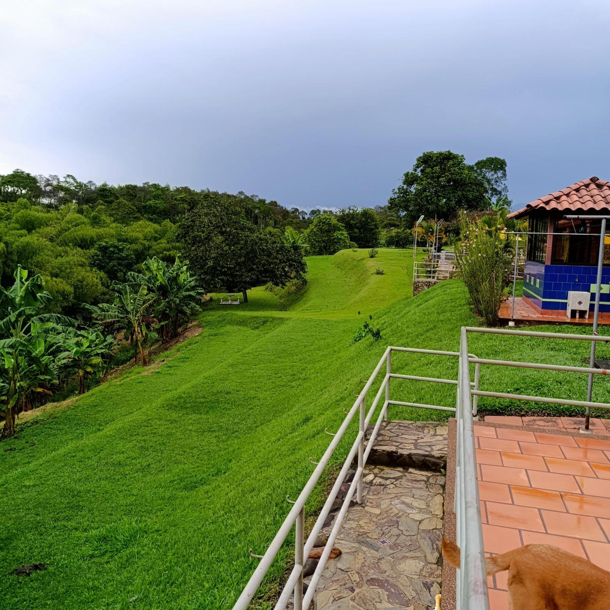 Hotel Campestre Los Mangos Quimbaya Ngoại thất bức ảnh