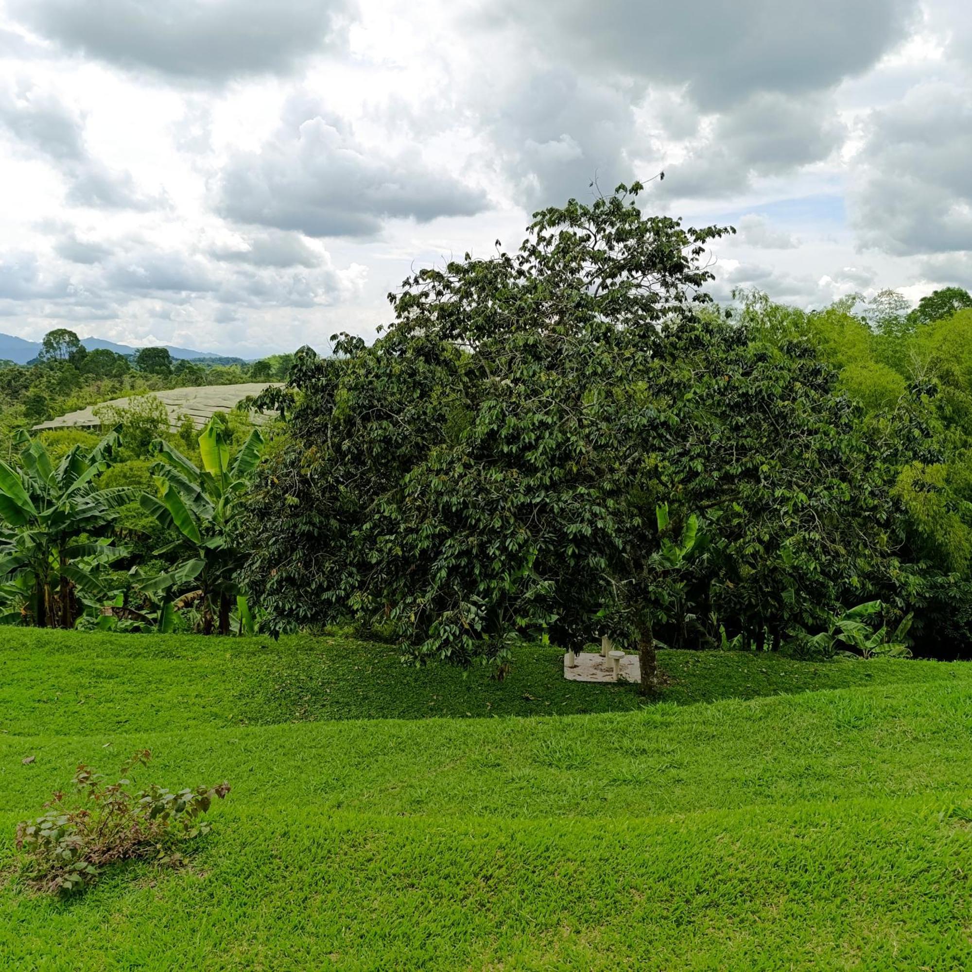 Hotel Campestre Los Mangos Quimbaya Ngoại thất bức ảnh